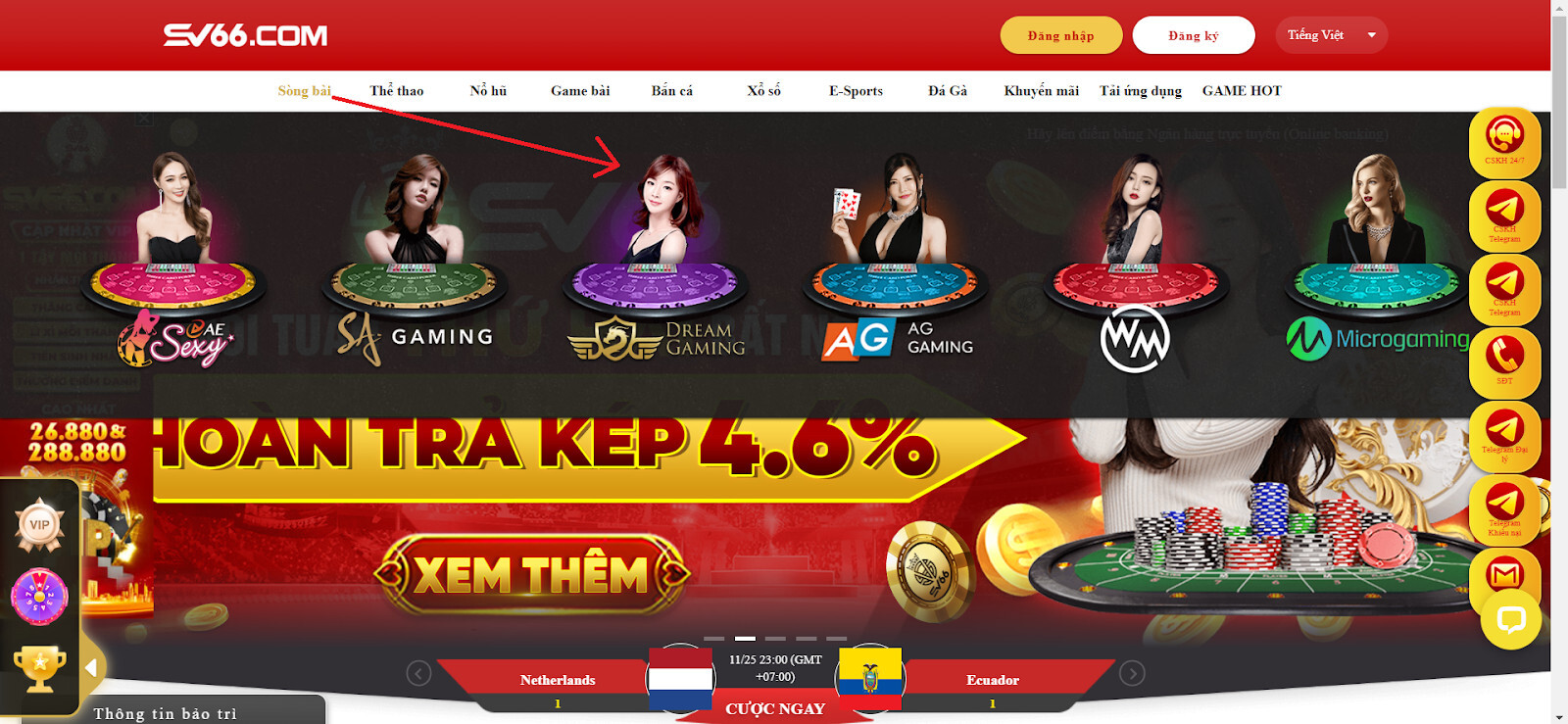 Hướng dẫn chơi cá cược tại sảnh Dreamgaming ở nhà cái SV66 cho tân thủ 