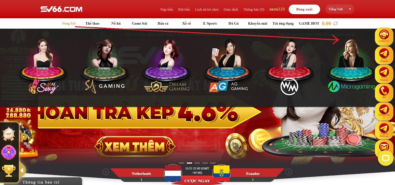 Hướng dẫn chơi cá cược tại sảnh Microgaming SV66