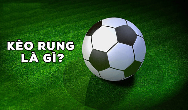 Có không ít tay chơi mới cược cá độ online thắc mắc về kèo rung là gì?