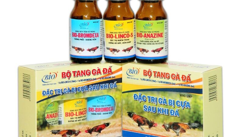 Thuốc tăng bo cho gà đá kích thích chiến kê và những thông tin cơ bản
