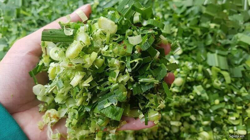 Rau củ xanh là loại thức ăn phổ biến của gà chọi