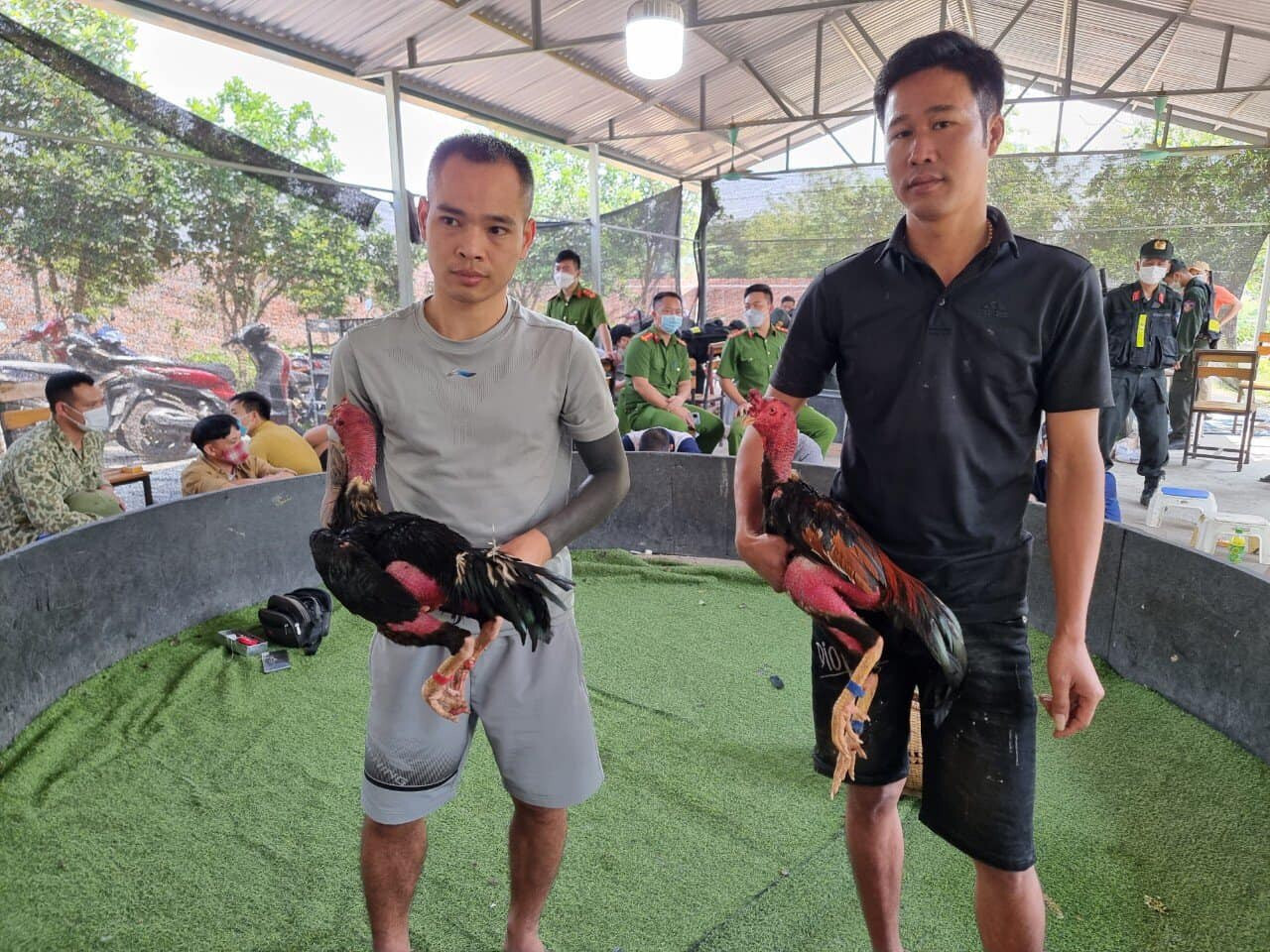 Bắt gà bằng thanh đẩy