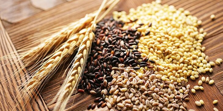 Công thức trộn ngũ cốc cho gà đá trong chế độ biệt của gà chiến