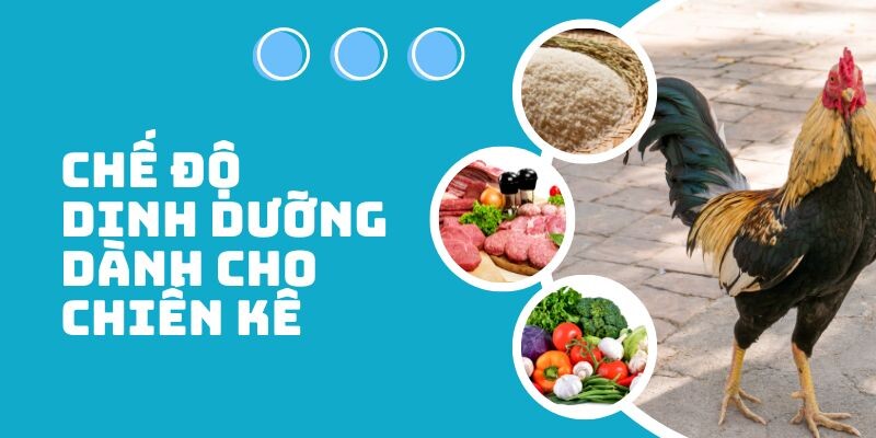 Ghi nhớ ngay công thức liên quan đến chế độ dinh dưỡng