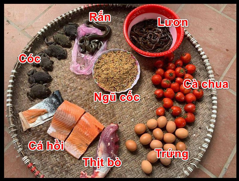 Nhóm mồi gà đá chính giúp gà trở nên sung mãn hơn